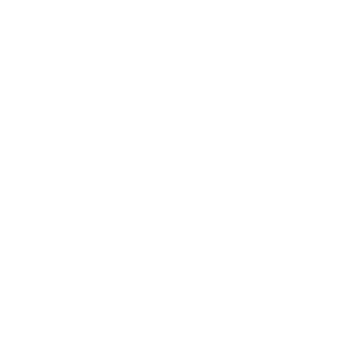 x icon
